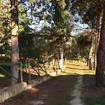 Podere Risoino Hébergement de vacances Poggibonsi