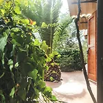 Podere Risoino Hébergement de vacances