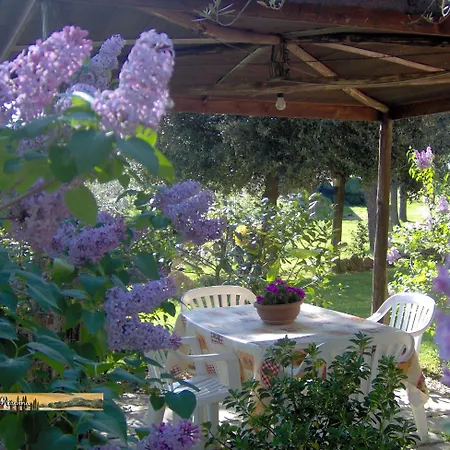 Podere Risoino Hébergement de vacances Poggibonsi