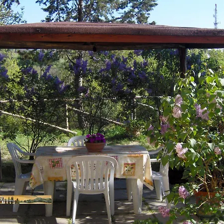 Podere Risoino Poggibonsi