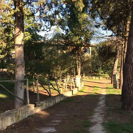 Podere Risoino Дом отдыха Поджибонси